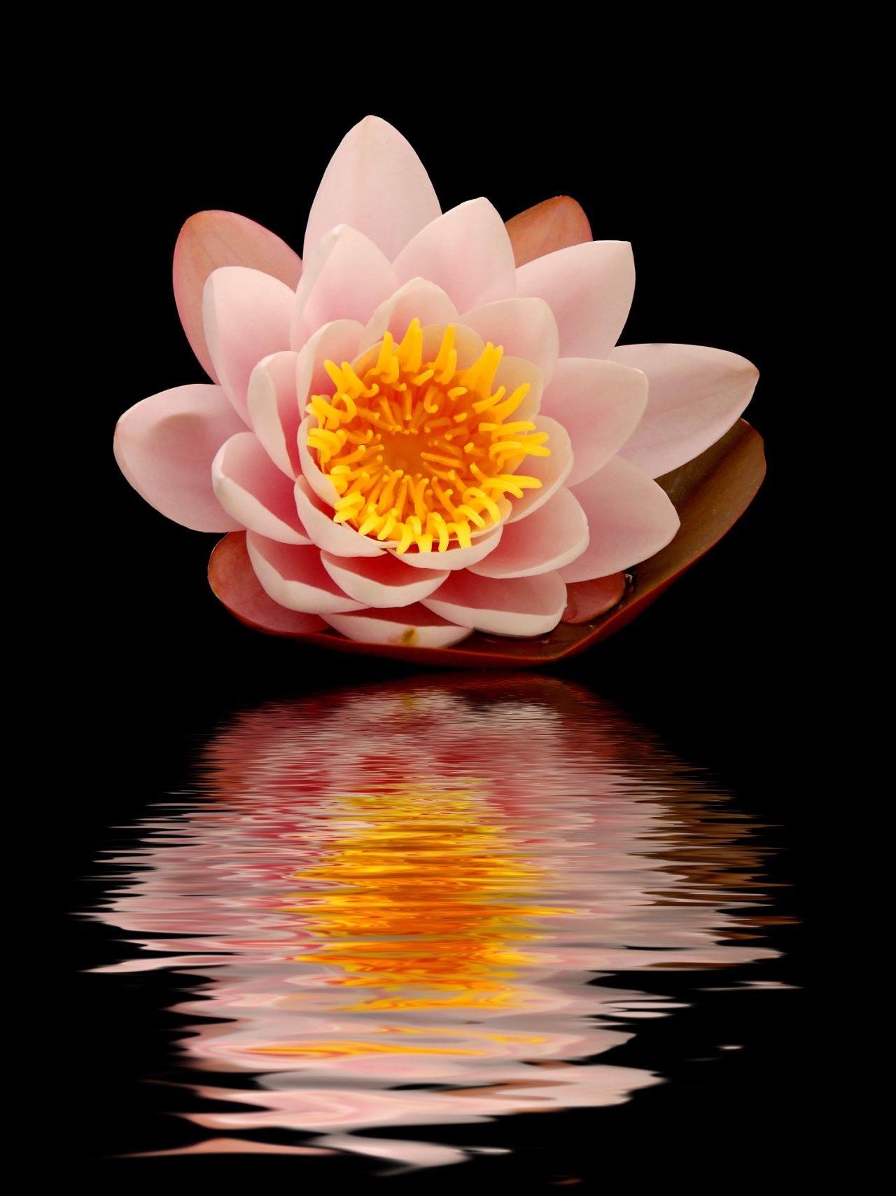 Testament  / Afhandeling na overlijden